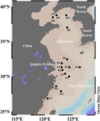 Highly active bacterial DMSP metabolism in the surface microlayer of the eastern China marginal seas